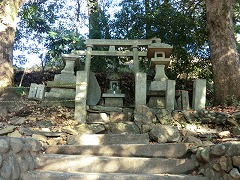 ��R���v���_��