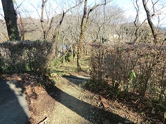 �������牺��