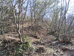 �o�R���ɔ�яo���܂���