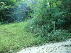 ���̕��o�R��