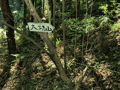 ��V�R���W