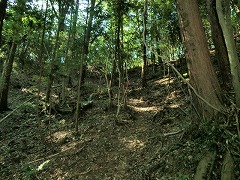 �ؗ��̒��B���[�v����B