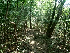 �z�����։���