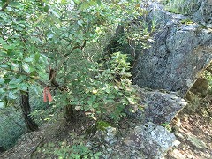 ����������