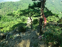 �����Ă������[�\�N��