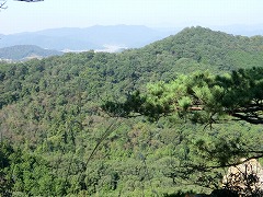 �ޕ��ɑ��R�A�s���R