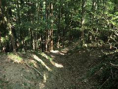 �����։���