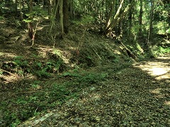 �{���̉z�����o�R��