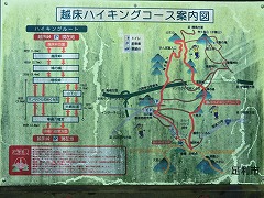 �}�b�v�z����