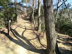 �������̕���