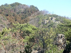 ���R�R�Ǝ�O�̊��