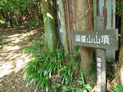 ���R�R���W