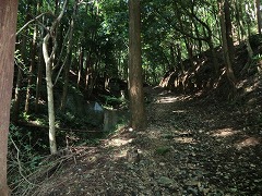 ���h����