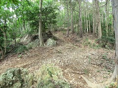 ������o��