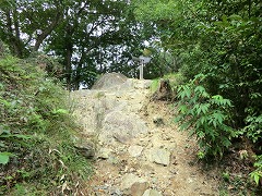 �n�C�L���O�R�[�X��