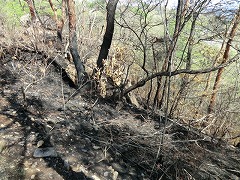 2021���R�R�R�щ΍А�