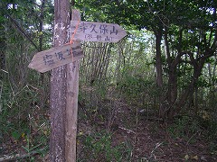 ���v�ێR���������W