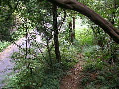 ��ԗѓ��������Ă��܂���