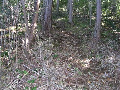 �������ꂽ�R��