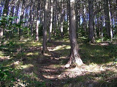 �ؗ��̒���o��