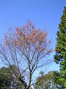 �F�Â�����