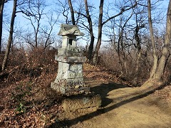 �R���̐��K