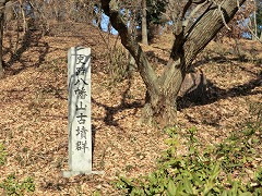 �����R�Õ��Β�