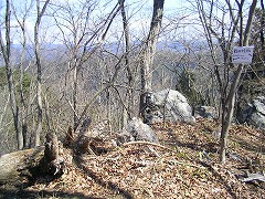 ��������֌�����