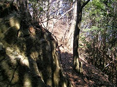 ���̘e��ʂ�