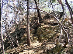 �����z����