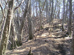 ���邢�a�т̓�