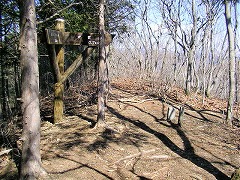 �܂��܂��E��