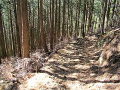 �A�ђn�̒�������