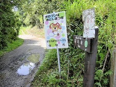 ���v�ۂ���̓o�R��