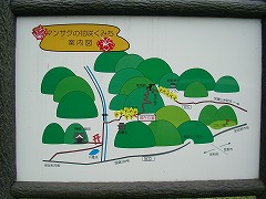 �}���T�N�̉ԍ炭���@�ē���