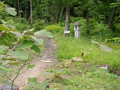 �}���T�N�Ɠo�R��