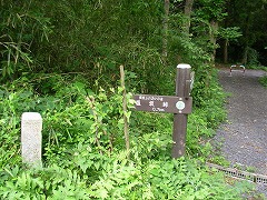 �Β��̓��W