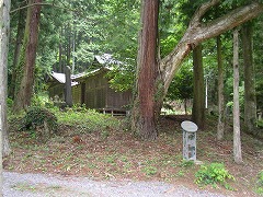 �������X�M