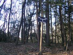 �ƕ��̕W���@���@��R�@�E�W���R