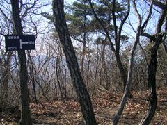 ���ȗւ̕W���@���@���V���@���i�@��R