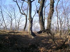 ��R�R���i�{�ېՁj