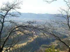 ��R�J���g���Ɣ����q�R��