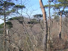 ����̎R��