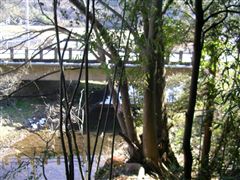 �ቺ�ɕ��V��