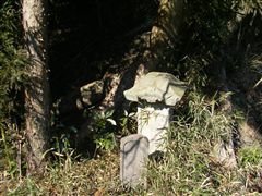 ���̂����Ƃɋ��{���Ɣn���ω�