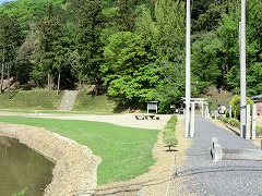 ���蔪���{