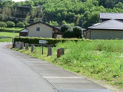 �����݌×q��