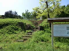 �����݌×q��