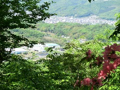 �����s�X�ƍ����Q�X�R��