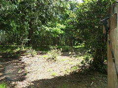 �R�����n